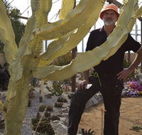 Cactus Country - Accommodation Tasmania