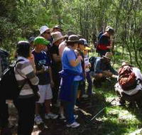 Warrumbungle National Park Discovery Program - Accommodation Tasmania