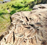 Terramungamine Rock Grooves - Accommodation Tasmania