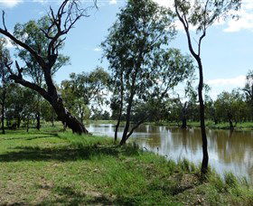 Seplin Estate Wines - Accommodation Tasmania 1