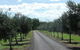 Seplin Estate Wines - thumb 3