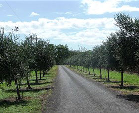 Seplin Estate Wines - Accommodation Tasmania 3