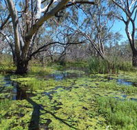 Macquarie Valley Trails - Accommodation Tasmania