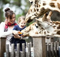 Taronga Western Plains Zoo Dubbo - Accommodation Tasmania