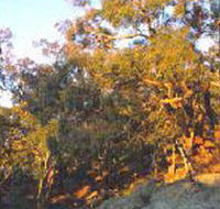 Mount Alexander Regional Park - Accommodation Tasmania