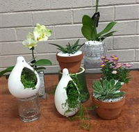 Cobram Florist - Accommodation Tasmania
