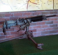 Woodpecker Gun - Accommodation Tasmania