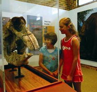 Australian Museum Diprotodon Exhibition - Accommodation Tasmania
