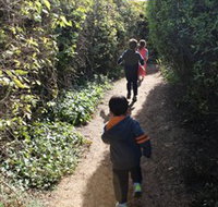 The Tangled Maze  Mistydowns Nursery - Accommodation Tasmania