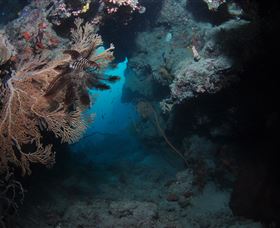 Luncheon Bay Dive Site - Accommodation Tasmania 2