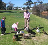 Roy Little Park Merredin - Accommodation Tasmania