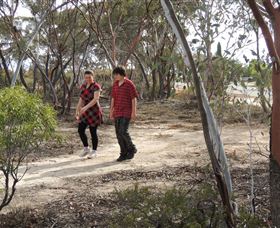 Tamma Parkland - Accommodation Tasmania 0