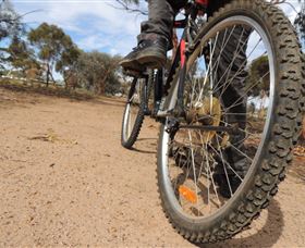 Tamma Parkland - Accommodation Tasmania 1