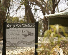 Coolamon NSW Accommodation Tasmania
