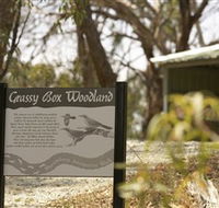 Kindra Forest - Accommodation Tasmania
