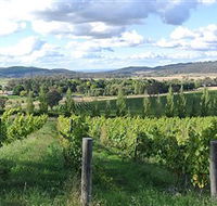 Sassy Wines - Accommodation Tasmania