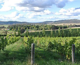 Sassy Wines - Accommodation Tasmania 0