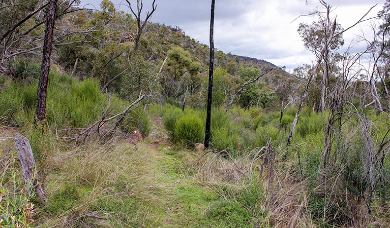 Piney Range NSW Accommodation Tasmania