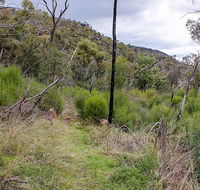 Lynchs loop trail - Accommodation Tasmania