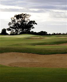 Black Bull Golf Club - Accommodation Tasmania 0