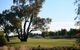 Black Bull Golf Club - thumb 2