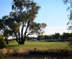 Black Bull Golf Club - Accommodation Tasmania 2