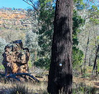 Eualdrie walking track - Accommodation Tasmania