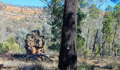 Eualdrie Walking Track - Accommodation Tasmania 0