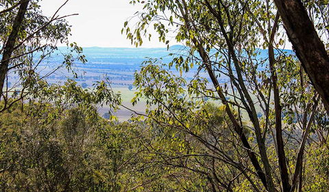 Eualdrie Walking Track - Accommodation Tasmania 2