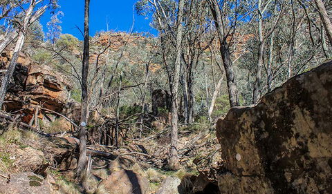 Eualdrie Walking Track - Accommodation Tasmania 3
