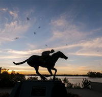 Black Caviar Statue - Accommodation Tasmania