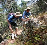Mount Arthur Reserve - Accommodation Tasmania