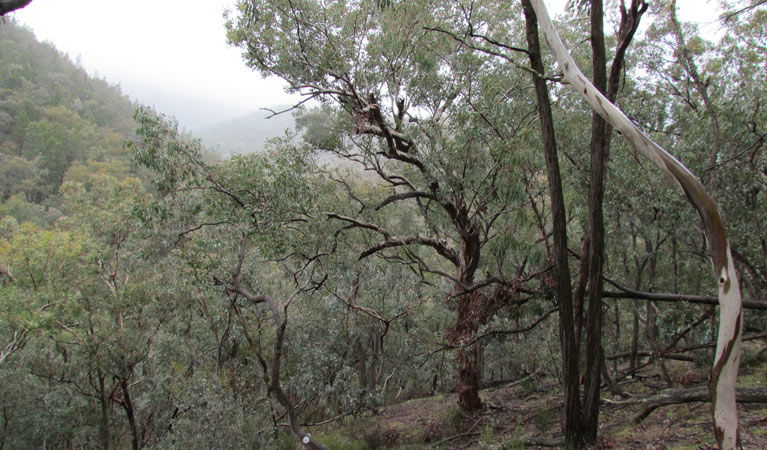  Accommodation Tasmania