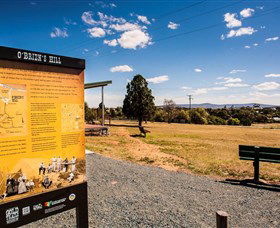 O'Brien's Hill - Accommodation Tasmania 0