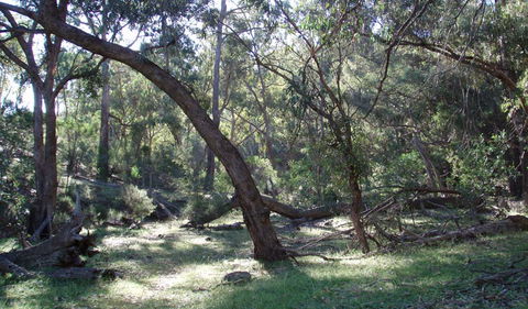 Mount Nangar Walking Track - Accommodation Tasmania 1