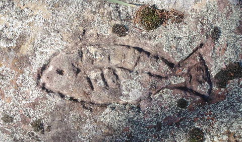 Terry Hie Hie Aboriginal Area - Accommodation Tasmania 3