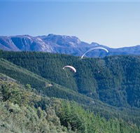 Buffalo Brewery - Accommodation Tasmania