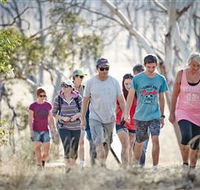 Winton Wetlands Reserve - Accommodation Tasmania