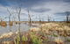 Winton Wetlands Reserve - thumb 4