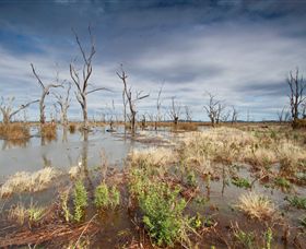 Winton Wetlands Reserve - Accommodation Tasmania 4