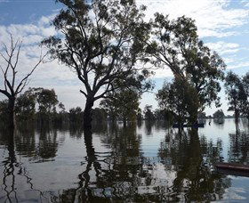 Doodle Cooma Swamp - Accommodation Tasmania 1