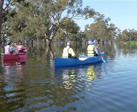 Doodle Cooma Swamp - Accommodation Tasmania 0