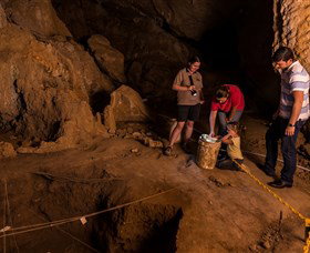 Capricorn Caves - Accommodation Tasmania 2