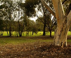 Benalla Golf Club - Accommodation Tasmania 2