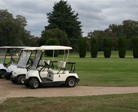 Benalla Golf Club - Accommodation Tasmania 3