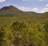 Kutini-Payamu Iron Range National Park CYPAL - Accommodation Tasmania