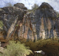 Borenore Karst Conservation Reserve - Accommodation Tasmania