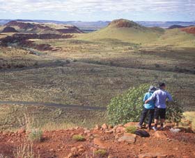 Mount Herbert - Accommodation Tasmania 1