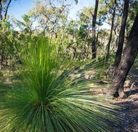 Brisbane Ranges National Park - Accommodation Tasmania