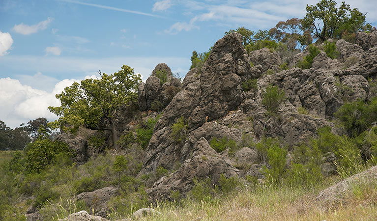 Lidster NSW Accommodation Tasmania